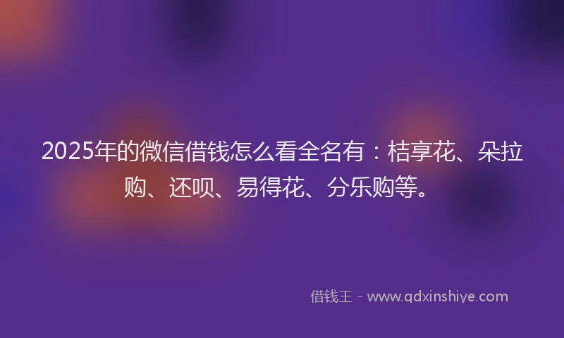 2025年的微信借钱怎么看全名有：桔享花、朵拉购、还呗、易得花、分乐购等。