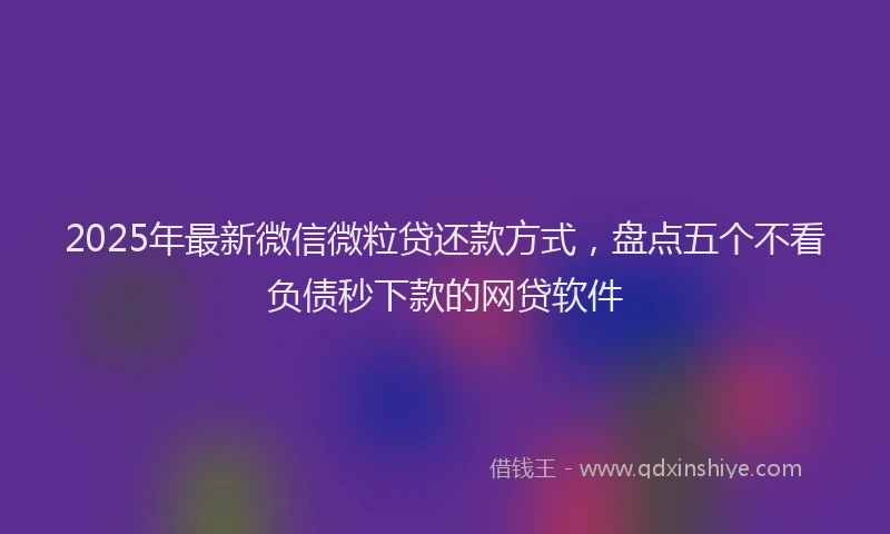 2025年最新微信微粒贷还款方式，盘点五个不看负债秒下款的网贷软件