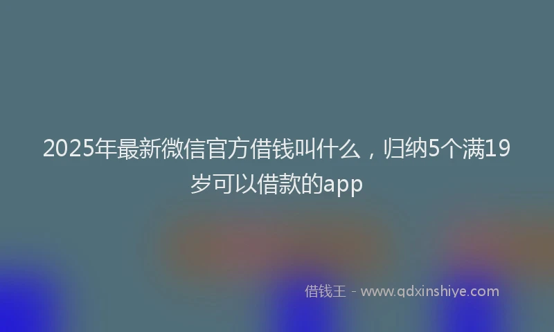2025年最新微信官方借钱叫什么，归纳5个满19岁可以借款的app
