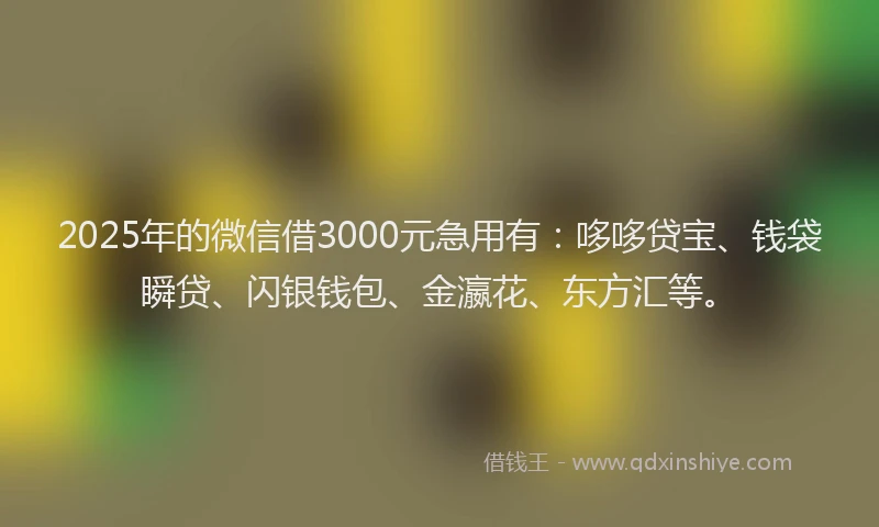 2025年的微信借3000元急用有：哆哆贷宝、钱袋瞬贷、闪银钱包、金瀛花、东方汇等。