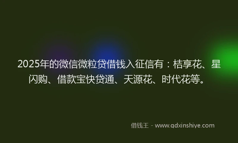 2025年的微信微粒贷借钱入征信有：桔享花、星闪购、借款宝快贷通、天源花、时代花等。