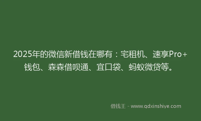 2025年的微信新借钱在哪有：宅租机、速享Pro+钱包、森森借呗通、宜口袋、蚂蚁微贷等。