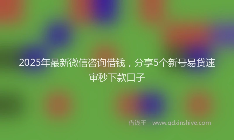 2025年最新微信咨询借钱，分享5个新号易贷速审秒下款口子