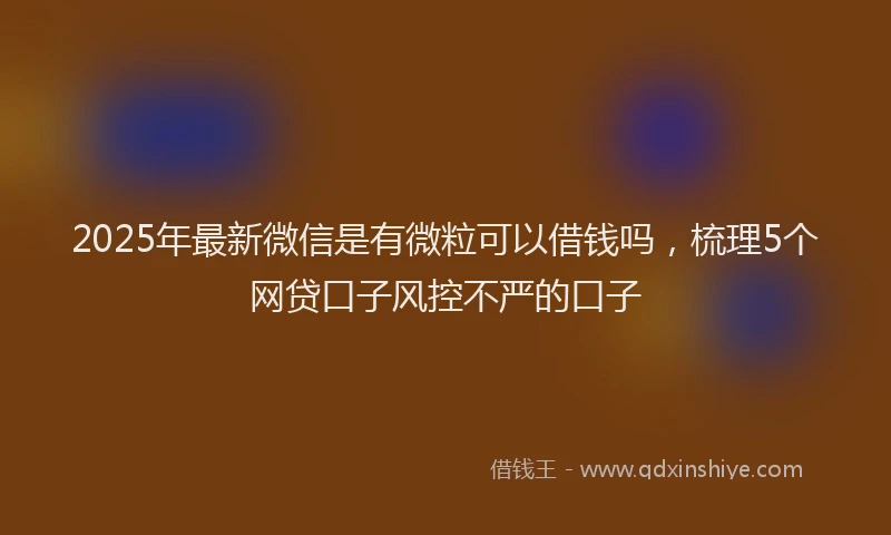 2025年最新微信是有微粒可以借钱吗，梳理5个网贷口子风控不严的口子