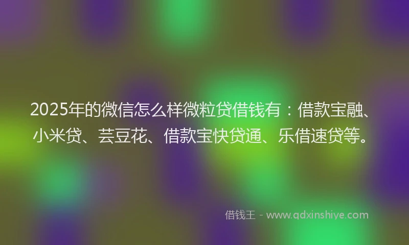 2025年的微信怎么样微粒贷借钱有：借款宝融、小米贷、芸豆花、借款宝快贷通、乐借速贷等。