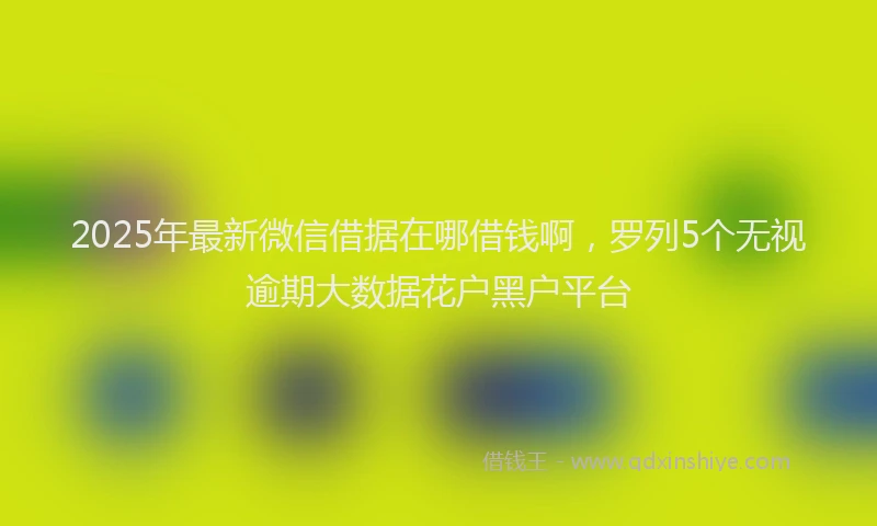 2025年最新微信借据在哪借钱啊，罗列5个无视逾期大数据花户黑户平台