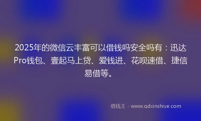 2025年的微信云丰富可以借钱吗安全吗有：迅达Pro钱包、壹起马上贷、爱钱进、花呗速借、捷信易借等。