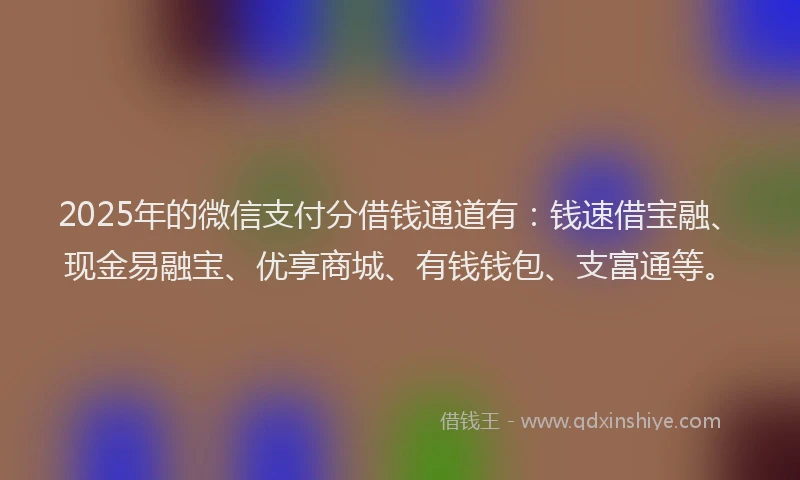 2025年的微信支付分借钱通道有：钱速借宝融、现金易融宝、优享商城、有钱钱包、支富通等。
