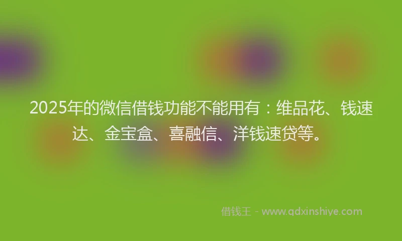 2025年的微信借钱功能不能用有：维品花、钱速达、金宝盒、喜融信、洋钱速贷等。