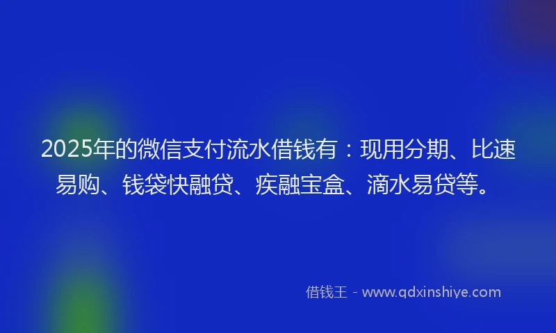 2025年的微信支付流水借钱有：现用分期、比速易购、钱袋快融贷、疾融宝盒、滴水易贷等。