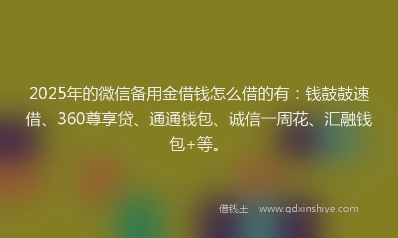 2025年的微信备用金借钱怎么借的有：钱鼓鼓速借、360尊享贷、通通钱包、诚信一周花、汇融钱包+等。