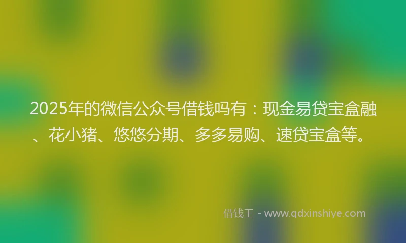 2025年的微信公众号借钱吗有：现金易贷宝盒融、花小猪、悠悠分期、多多易购、速贷宝盒等。