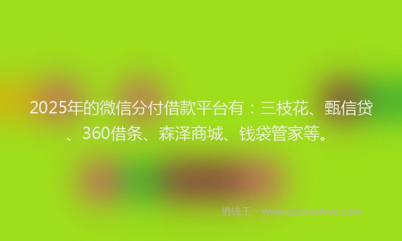2025年的微信分付借款平台有：三枝花、甄信贷、360借条、森泽商城、钱袋管家等。