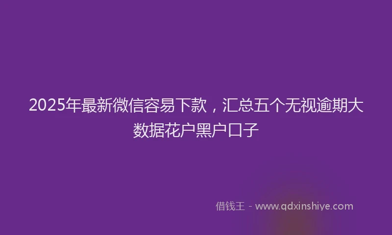 2025年最新微信容易下款，汇总五个无视逾期大数据花户黑户口子