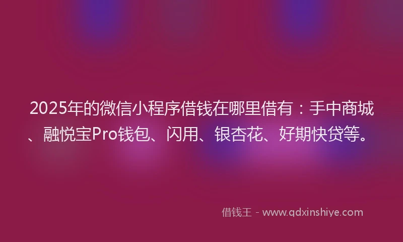 2025年的微信小程序借钱在哪里借有:手中商城、融悦宝Pro钱包、闪用、银杏花、好期快贷等。