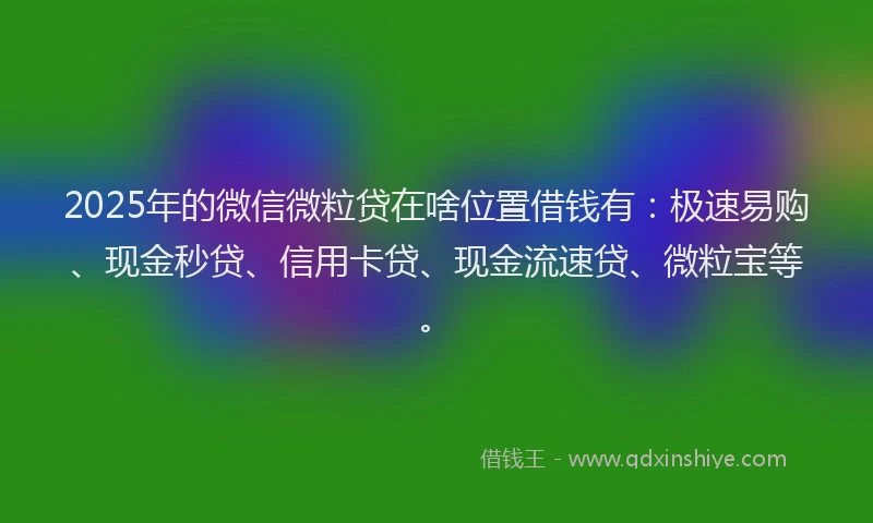 2025年的微信微粒贷在啥位置借钱有：极速易购、现金秒贷、信用卡贷、现金流速贷、微粒宝等。