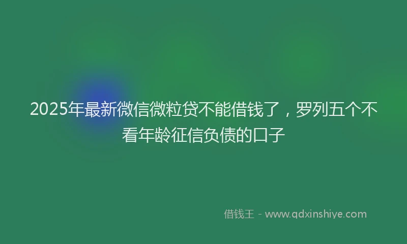 2025年最新微信微粒贷不能借钱了，罗列五个不看年龄征信负债的口子