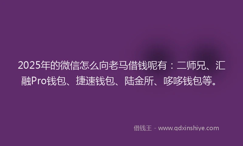 2025年的微信怎么向老马借钱呢有：二师兄、汇融Pro钱包、捷速钱包、陆金所、哆哆钱包等。