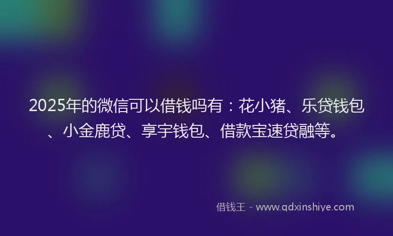 2025年的微信可以借钱吗有：花小猪、乐贷钱包、小金鹿贷、享宇钱包、借款宝速贷融等。