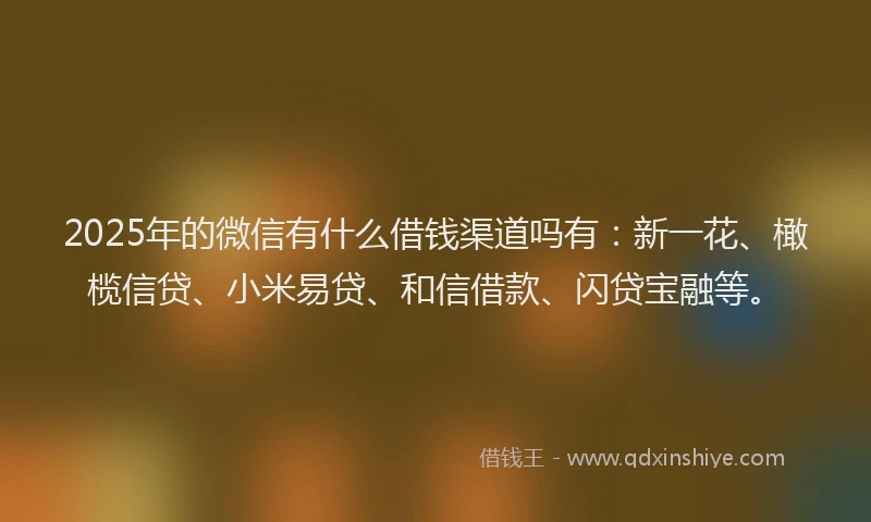 2025年的微信有什么借钱渠道吗有：新一花、橄榄信贷、小米易贷、和信借款、闪贷宝融等。