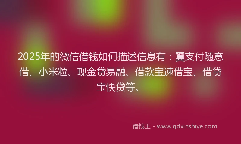 2025年的微信借钱如何描述信息有：翼支付随意借、小米粒、现金贷易融、借款宝速借宝、借贷宝快贷等。