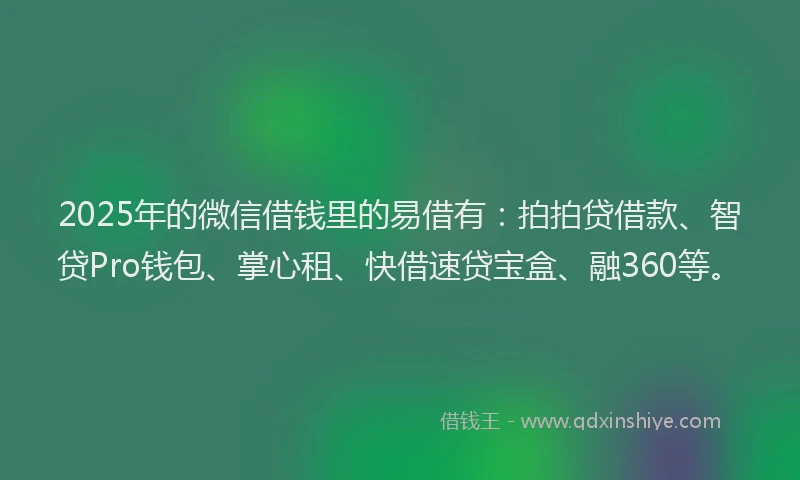 2025年的微信借钱里的易借有：拍拍贷借款、智贷Pro钱包、掌心租、快借速贷宝盒、融360等。