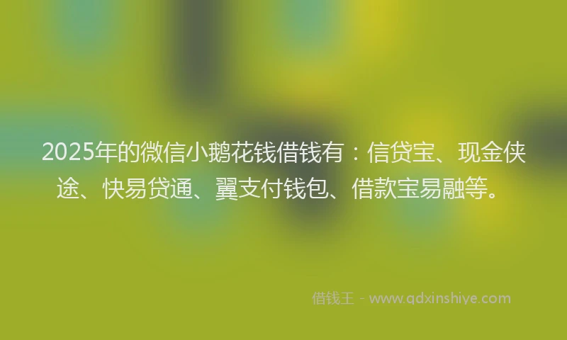 2025年的微信小鹅花钱借钱有：信贷宝、现金侠途、快易贷通、翼支付钱包、借款宝易融等。