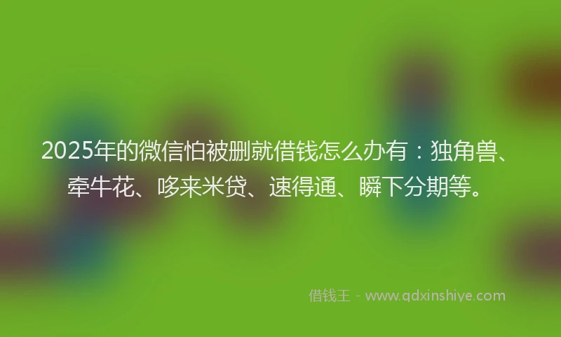 2025年的微信怕被删就借钱怎么办有：独角兽、牵牛花、哆来米贷、速得通、瞬下分期等。
