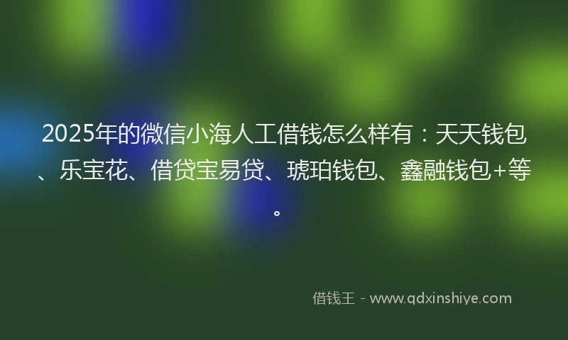 2025年的微信小海人工借钱怎么样有：天天钱包、乐宝花、借贷宝易贷、琥珀钱包、鑫融钱包+等。