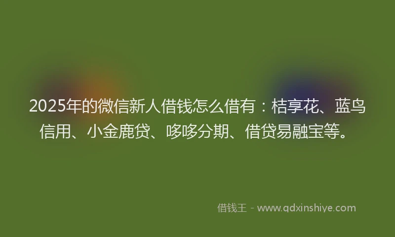 2025年的微信新人借钱怎么借有：桔享花、蓝鸟信用、小金鹿贷、哆哆分期、借贷易融宝等。