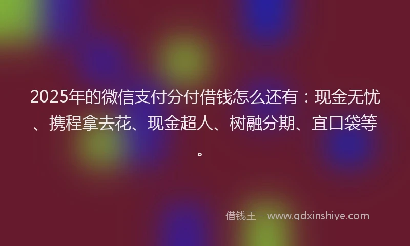2025年的微信支付分付借钱怎么还有：现金无忧、携程拿去花、现金超人、树融分期、宜口袋等。