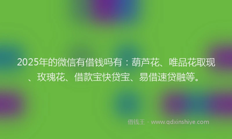 2025年的微信有借钱吗有：葫芦花、唯品花取现、玫瑰花、借款宝快贷宝、易借速贷融等。
