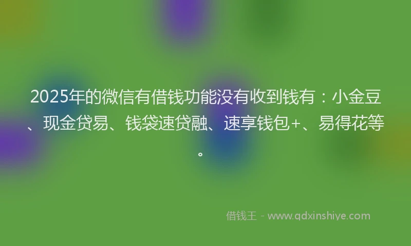 2025年的微信有借钱功能没有收到钱有：小金豆、现金贷易、钱袋速贷融、速享钱包+、易得花等。