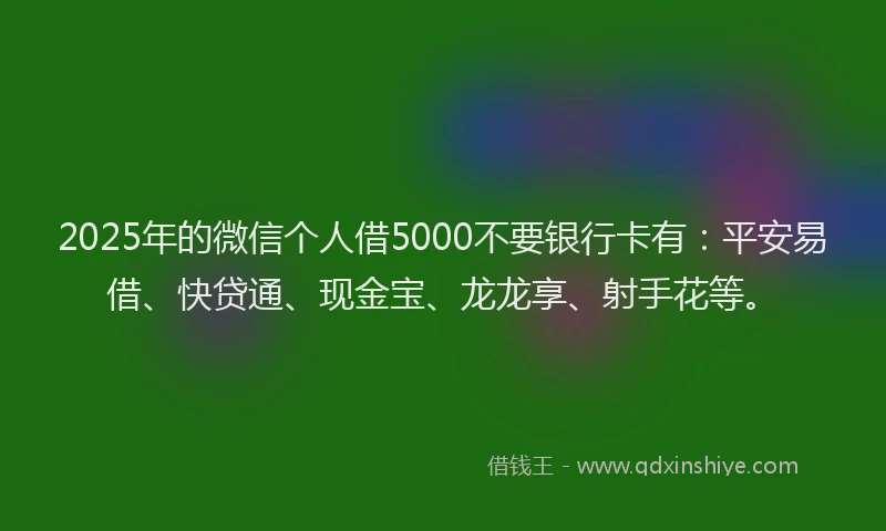 2025年的微信个人借5000不要银行卡有：平安易借、快贷通、现金宝、龙龙享、射手花等。