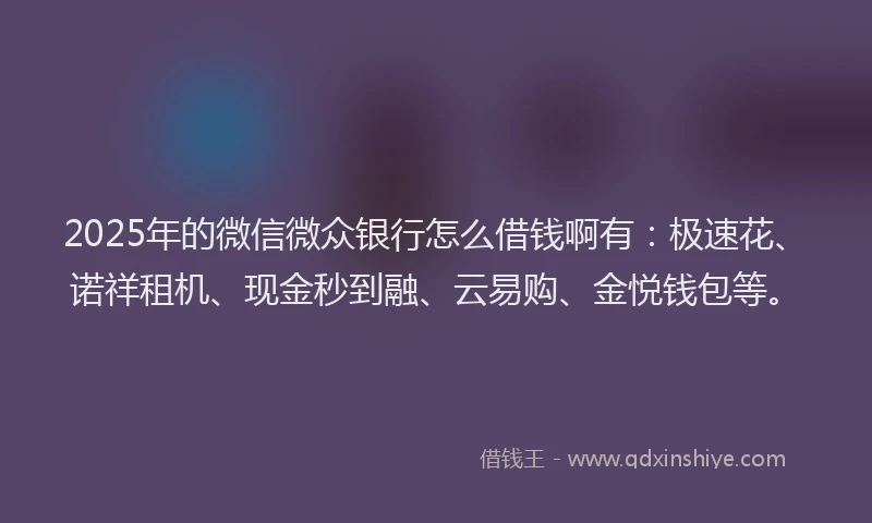 2025年的微信微众银行怎么借钱啊有：极速花、诺祥租机、现金秒到融、云易购、金悦钱包等。