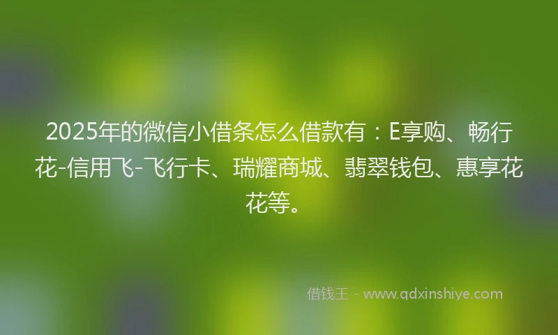 2025年的微信小借条怎么借款有：E享购、畅行花-信用飞-飞行卡、瑞耀商城、翡翠钱包、惠享花花等。