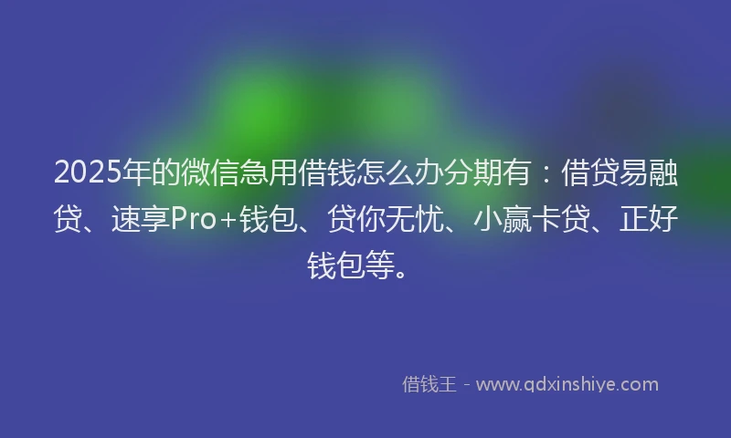 2025年的微信急用借钱怎么办分期有：借贷易融贷、速享Pro+钱包、贷你无忧、小赢卡贷、正好钱包等。