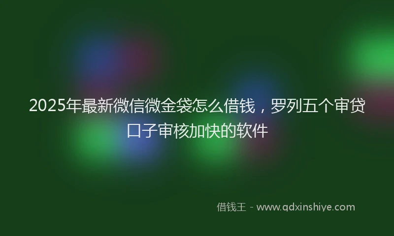 2025年最新微信微金袋怎么借钱，罗列五个审贷口子审核加快的软件