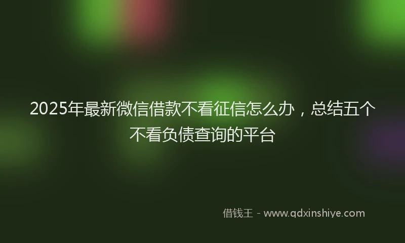 2025年最新微信借款不看征信怎么办，总结五个不看负债查询的平台