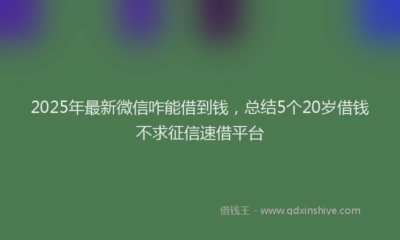 2025年最新微信咋能借到钱，总结5个20岁借钱不求征信速借平台