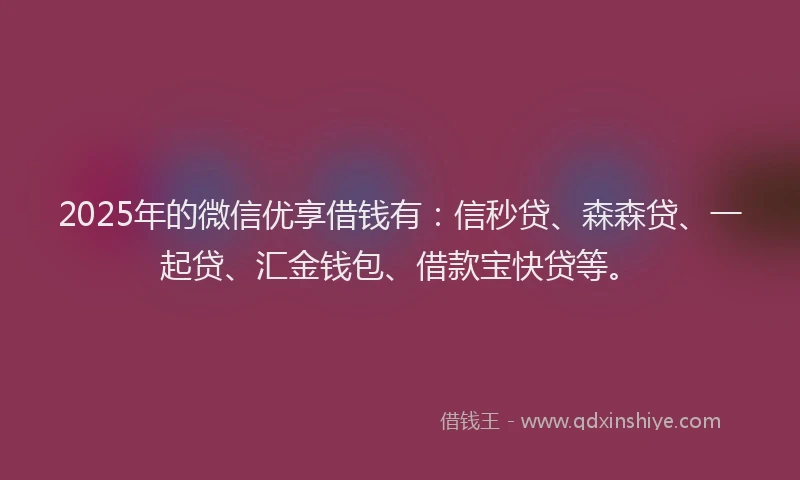 2025年的微信优享借钱有：信秒贷、森森贷、一起贷、汇金钱包、借款宝快贷等。