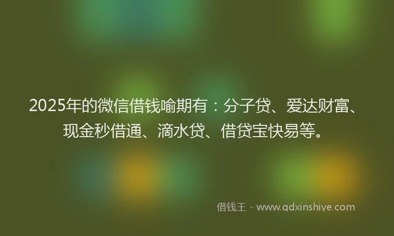 2025年的微信借钱喻期有：分子贷、爱达财富、现金秒借通、滴水贷、借贷宝快易等。