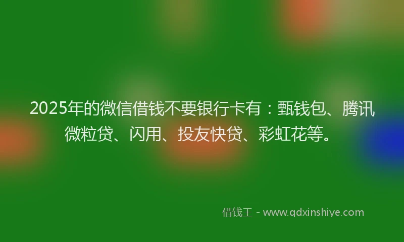 2025年的微信借钱不要银行卡有：甄钱包、腾讯微粒贷、闪用、投友快贷、彩虹花等。