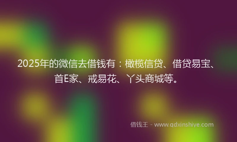 2025年的微信去借钱有：橄榄信贷、借贷易宝、首E家、戒易花、丫头商城等。
