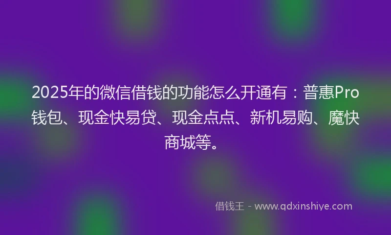 2025年的微信借钱的功能怎么开通有：普惠Pro钱包、现金快易贷、现金点点、新机易购、魔快商城等。