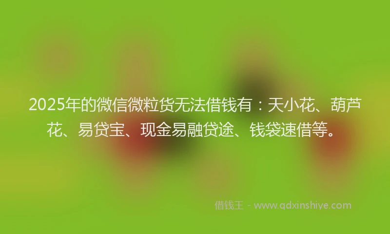 2025年的微信微粒货无法借钱有：天小花、葫芦花、易贷宝、现金易融贷途、钱袋速借等。