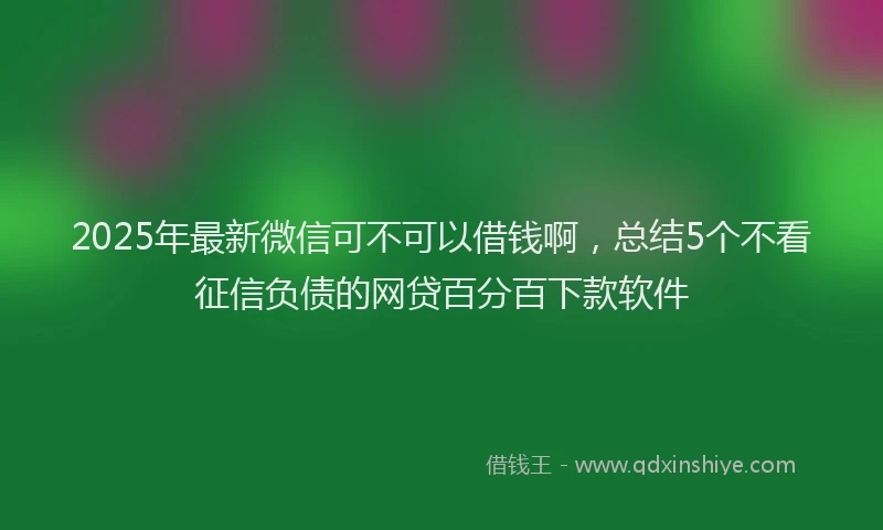 2025年最新微信可不可以借钱啊，总结5个不看征信负债的网贷百分百下款软件