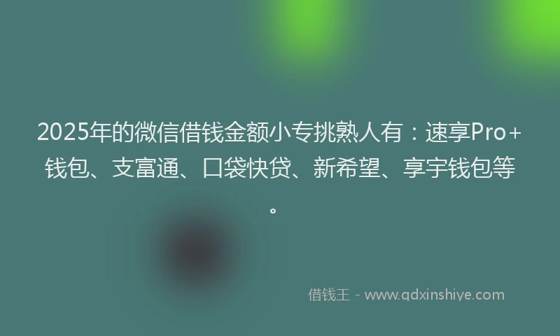 2025年的微信借钱金额小专挑熟人有：速享Pro+钱包、支富通、口袋快贷、新希望、享宇钱包等。