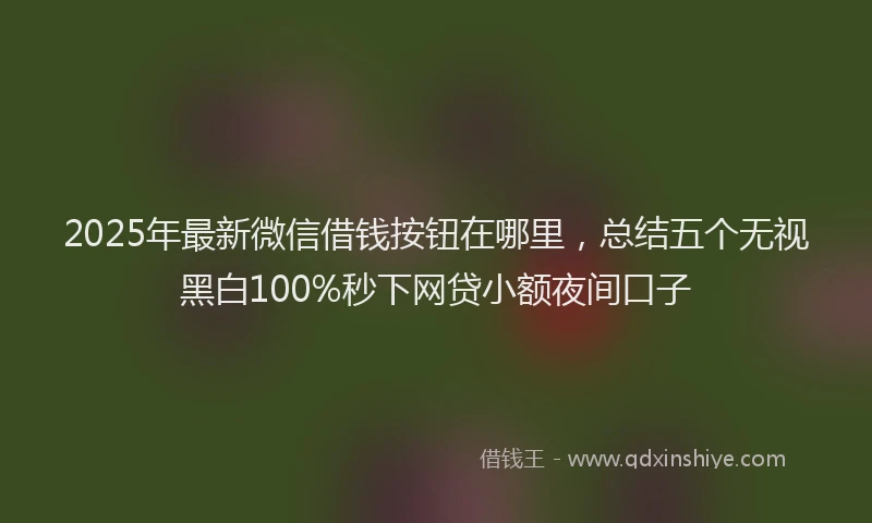 2025年最新微信借钱按钮在哪里，总结五个无视黑白100%秒下网贷小额夜间口子