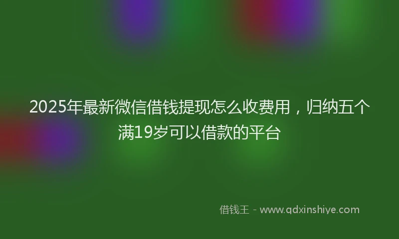 2025年最新微信借钱提现怎么收费用，归纳五个满19岁可以借款的平台